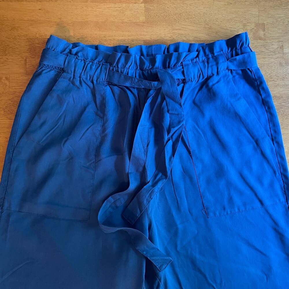 Size 14 H&M blue pants - new without tags - Picture 4 of 9